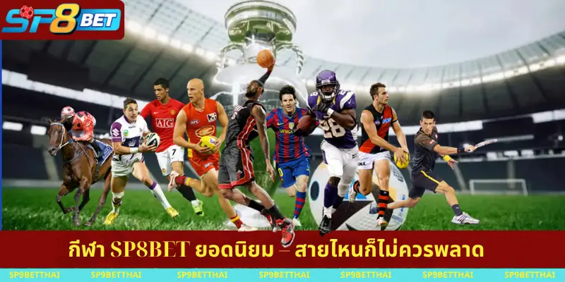 กีฬา SP8BET ยอดนิยม – สายไหนก็ไม่ควรพลาด